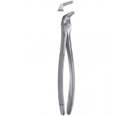 Extracting Forceps